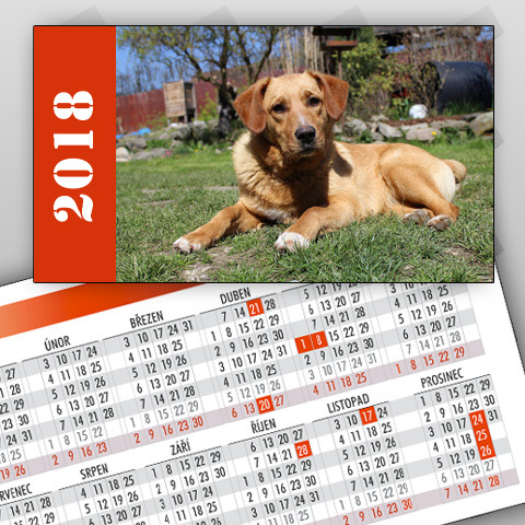 Kalendáříky 2018, rok vlevo (balíček 10 ks)