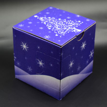 Balení v modré krabičce s vánočním motivem