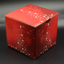 Balení v červené krabičce s vánočním motivem