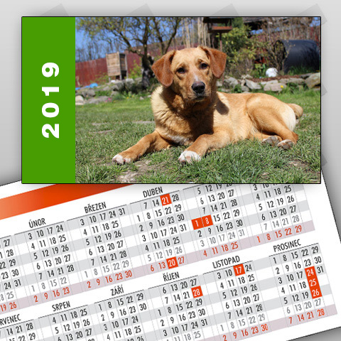 Kalendáříky 2019, rok vlevo (balíček 10 ks)